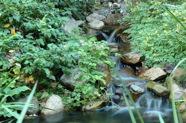 Waterfall into a pond.