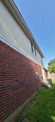 Home has Algae on the siding of the home