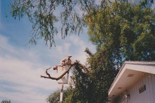 Lopez Tree Trimming