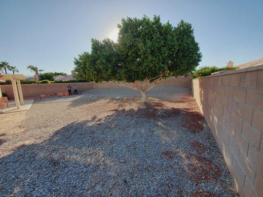 Landscape La Quinta. Before picture #1