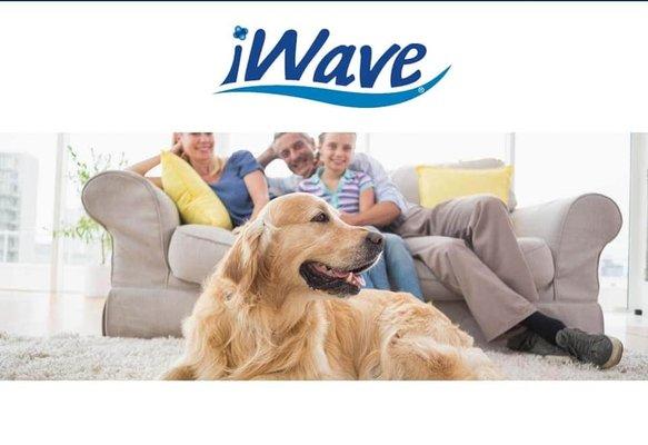 We now install iWave!