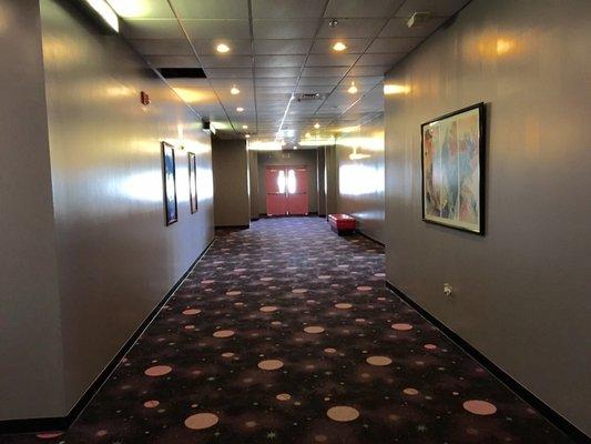 New paint job in the hallway at Regency Cinema