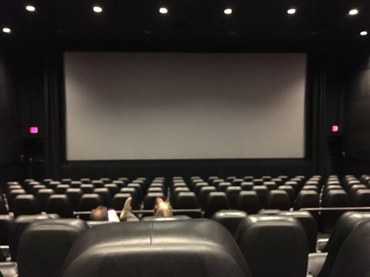 Huge theater and comfy leather seats!