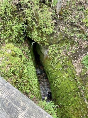 Looking down into cave at Devils Icebox.