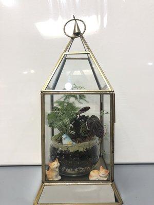 Open terrariums