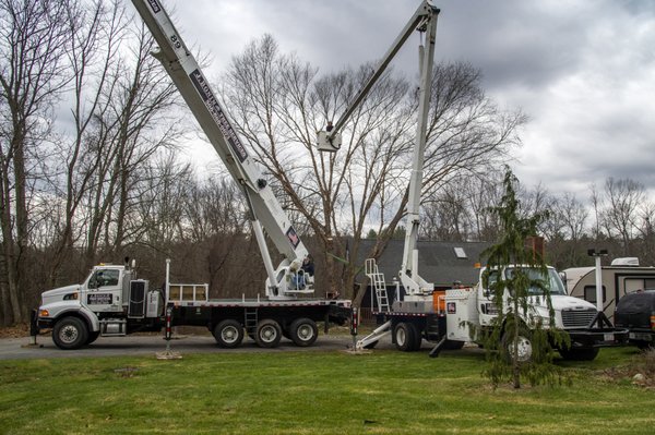 J Bonin Tree Services