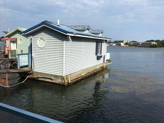 The boat house & a new friend!