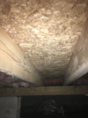 Mold in Crawlspace before treatment and encapsulation