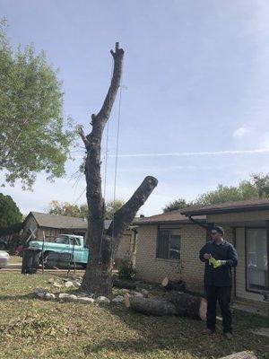 Arizona Ash removal