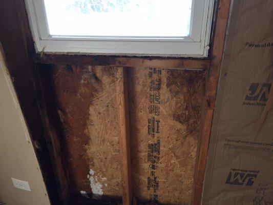 Rotted wood and mold caused by improperly sealing windows done by JGP