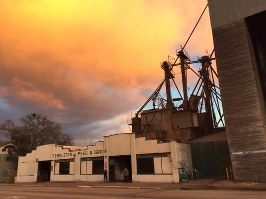 Templeton Feed & Grain