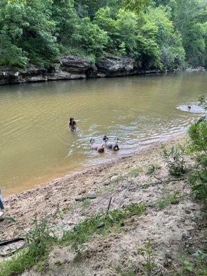 Swim with your best friends this summer!! Dogs are leash-free as long as they get along with other dogs and humans