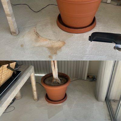 Plant pot stain correction with pre bleaching damage