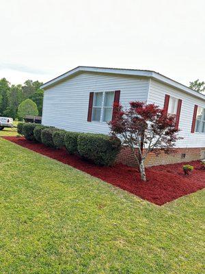 Mulching/ bush trimming