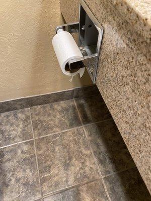 Used toilet paper