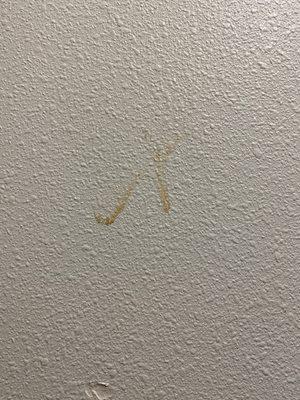 Something gross on the wall next to the bed.