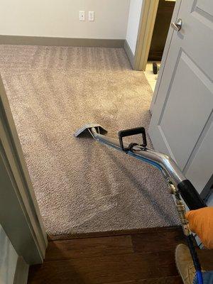 RP Carpet Cleaning