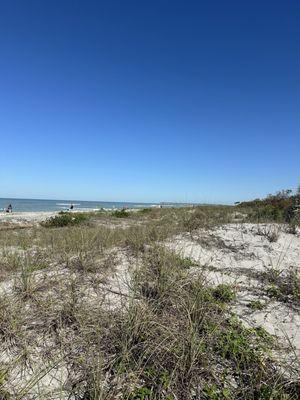 View from boardwalk towards the beach