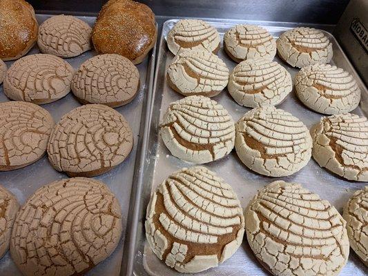 Pan dulce - sweet bread