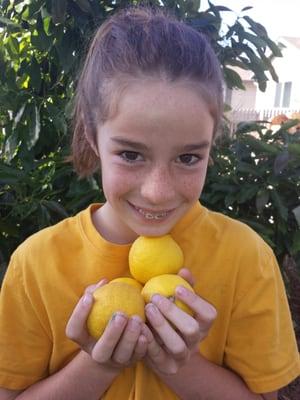 Sometimes our trees produce more than we can use.  The Foodbank is a great place to donate fresh fruit.  #sbtreelady