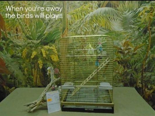 We provide Bird boarding only $6.00 per cage per night.