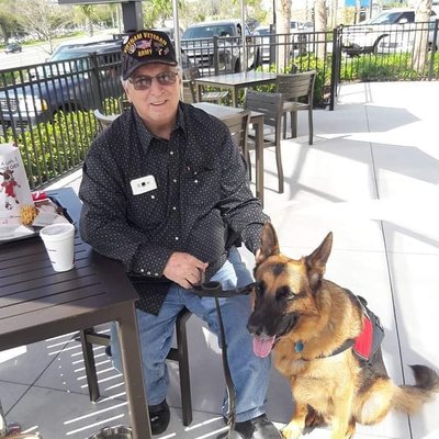 PTSD Vietnam Veteran with his Service Dog , LT