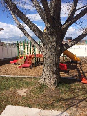 Fully fenced play yard