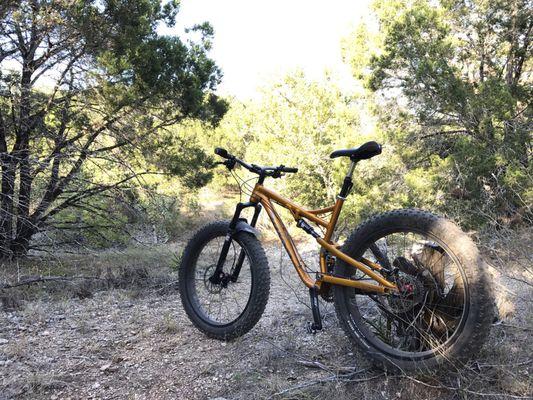 Rebuilt my brakes on my Salsa Bucksaw.