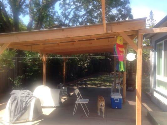 Outdoor Structure to provide shade for our dogs