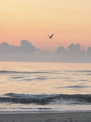 Good morning, Corolla beach.