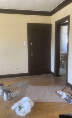 Painted walls and touch up brown spots