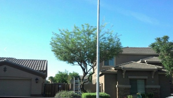 Enchanted Landscape and Pools - Tree Trimming in Chandler, Az