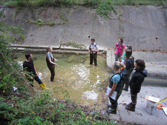 Volunteers learning about how to measure streamflow, an event hosted as part of the Urban EcoStewards program.