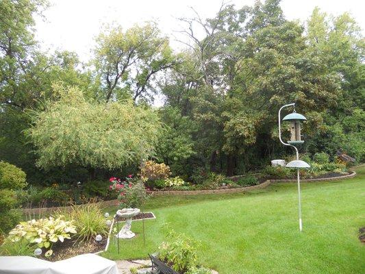 New sod and Retaining wall