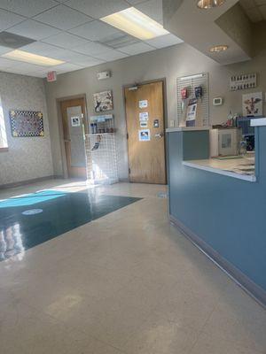 Bell Creek Veterinary Hospital