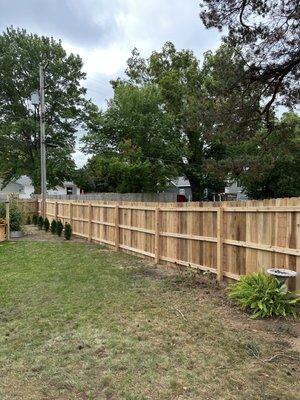 Cedar privacy!