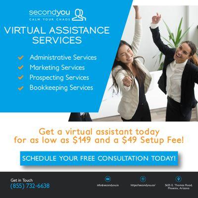 Virtual Professional Services