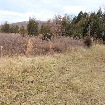 prairie on Shawnee trail