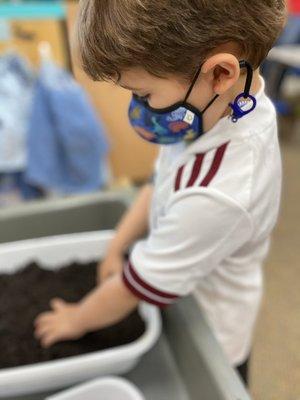 Worms + dirt create a fun sensory bin experience.