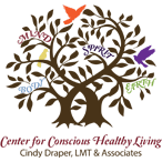 Center for Conscious Healthy Living Cindy Draper Associates