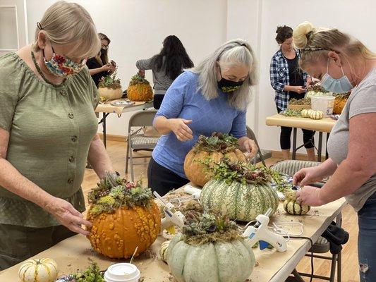 Succulent Pumpkin Workshop