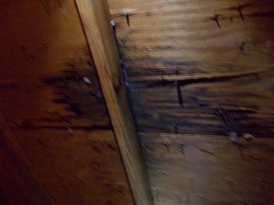 Water damaged sheathing in attic