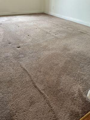 Cheap carpet quality& installment