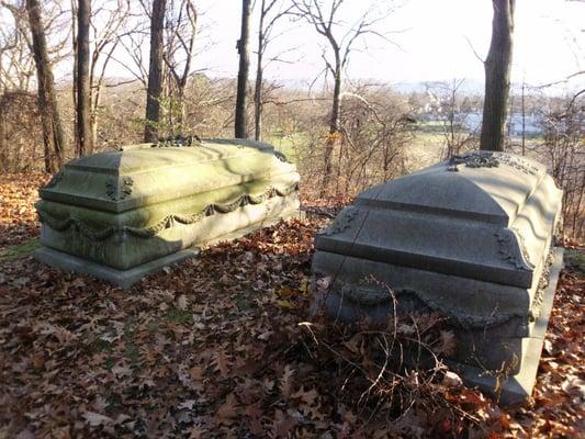 New Orleans style tombs in a secluded hill at Spring Forest.