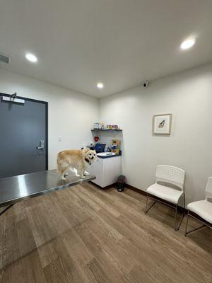 Alhambra Veterinary Hospital