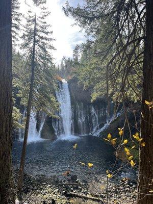 McArthur Burney Falls State Park