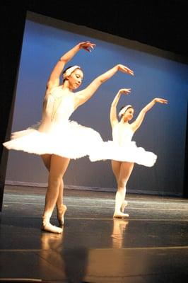 Swan Lake variation