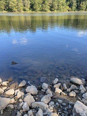 Just looking down at the critters and looking across the lake