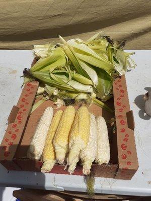 Ready for the pot fresh sweet corn from Reese's farm Halifax county Virginia