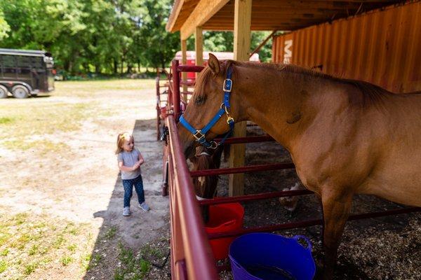 Red Barn Pony Park